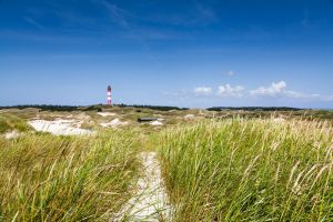 Nebel on Amrum