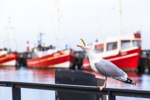 Warnemünde