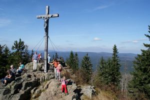 The Bavarian Forest