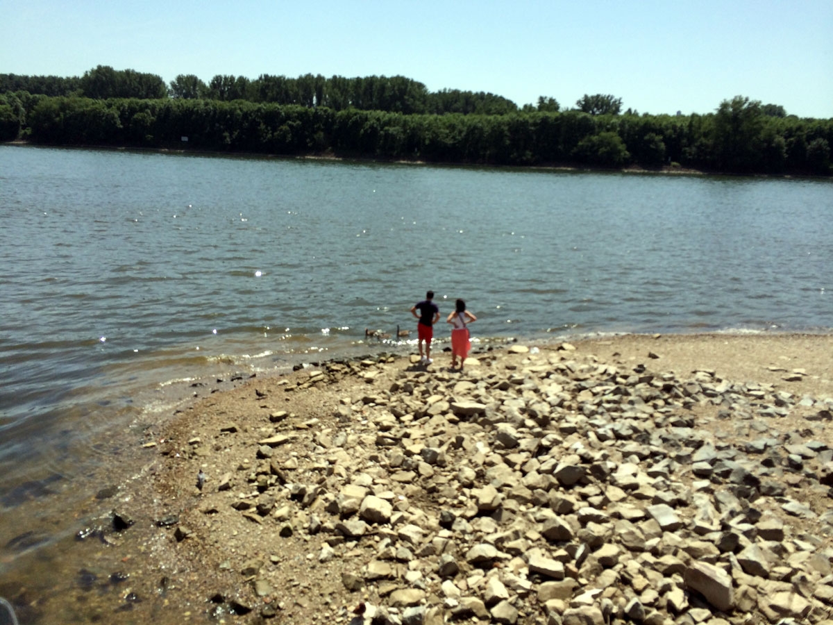 Rhein River Beach